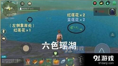 创造与魔法蓝莲花位置攻略