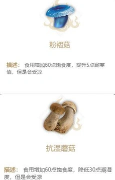 妄想山海采蘑菇任务完成技巧
