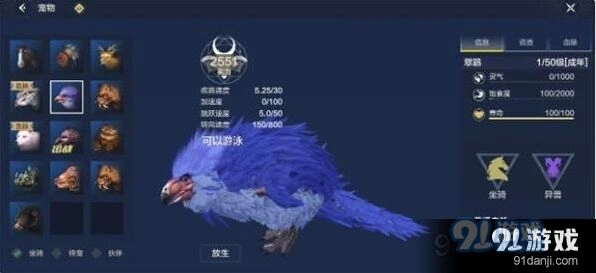 妄想山海翠鹞培养指南