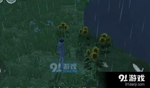 创造与魔法向日葵位置分布与作用解析