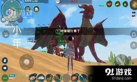 创造与魔法如何击晕飞龙获得材料