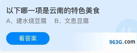 以下哪一项是云南的特色美食