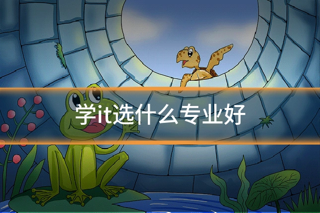 学it选什么专业好