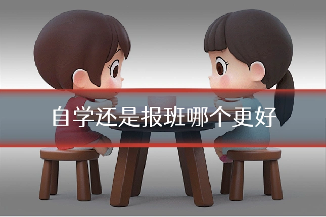 自学还是报班哪个更好