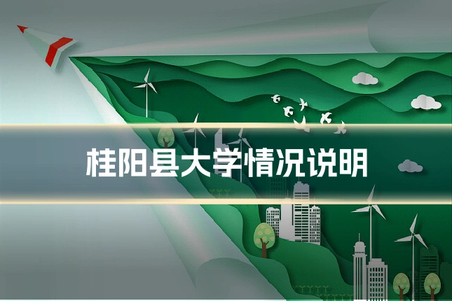 桂阳县大学情况说明