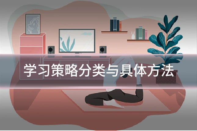 学习策略分类与具体方法