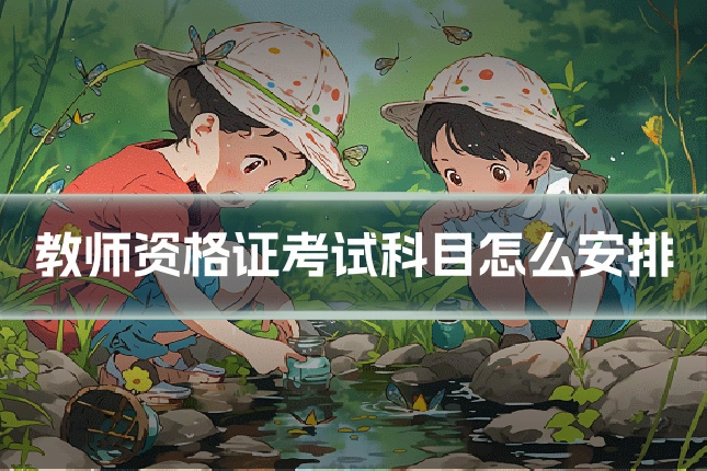教师资格证考试科目怎么安排