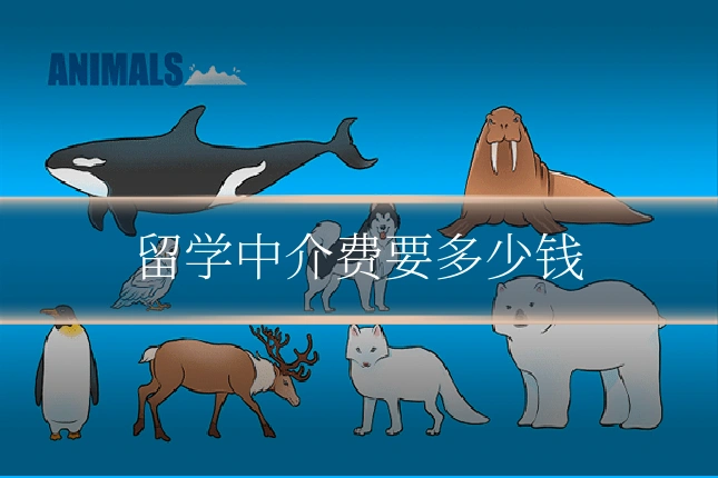 留学中介费要多少钱