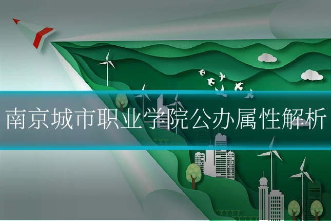 南京城市职业学院公办属性解析