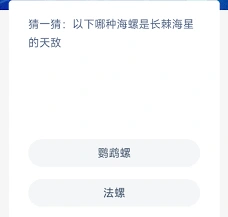 支付宝神奇海洋鹦鹉螺科普知识
