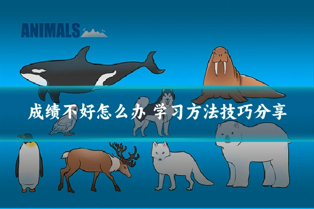 成绩不好怎么办 学习方法技巧分享