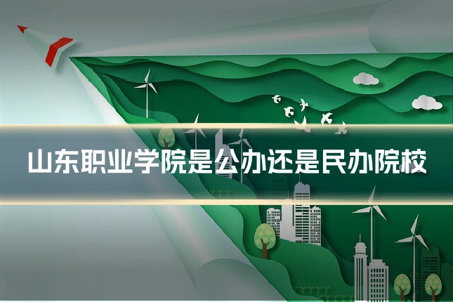 山东职业学院是公办还是民办院校