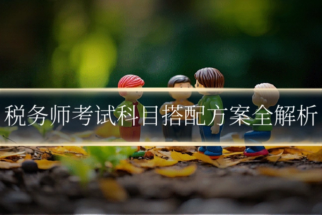 税务师考试科目搭配方案全解析