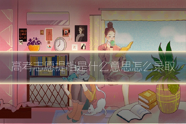 高考志愿提档是什么意思怎么录取