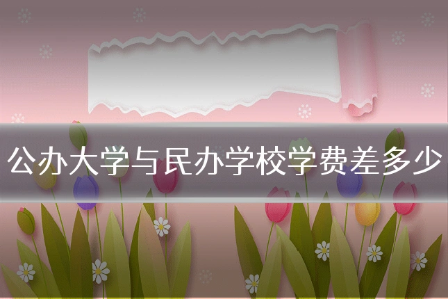公办大学与民办学校学费差多少