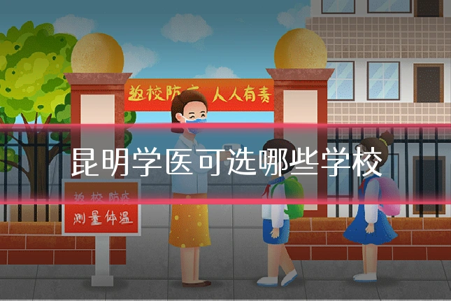 昆明学医可选哪些学校