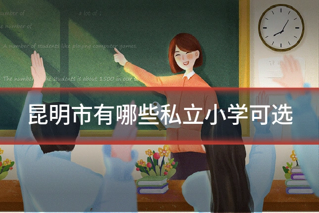 昆明市有哪些私立小学可选