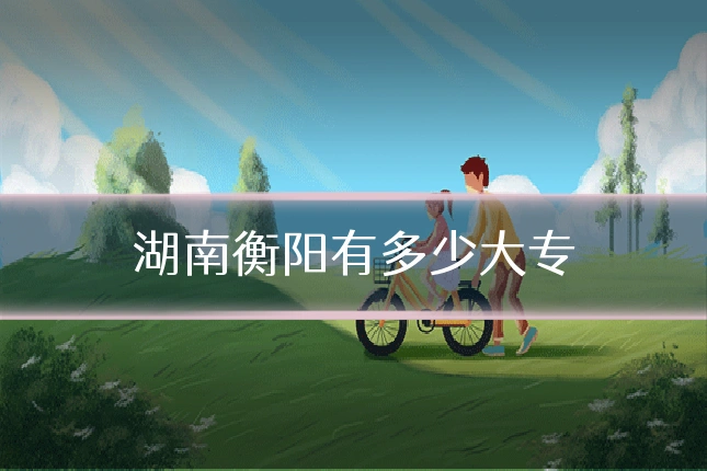 湖南衡阳有多少大专