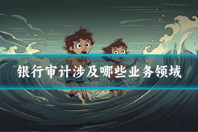 银行审计涉及哪些业务领域
