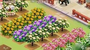 我的花园山茶花土壤选择与换盆