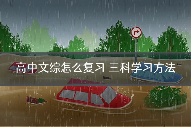 高中文综怎么复习 三科学习方法