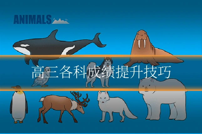 高三各科成绩提升技巧