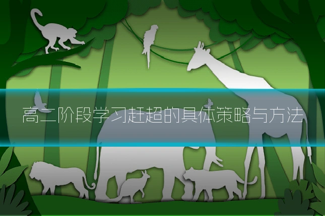 高二阶段学习赶超的具体策略与方法
