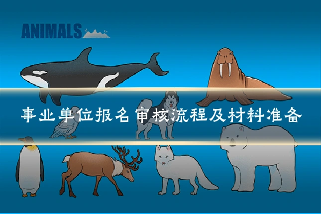事业单位报名审核流程及材料准备