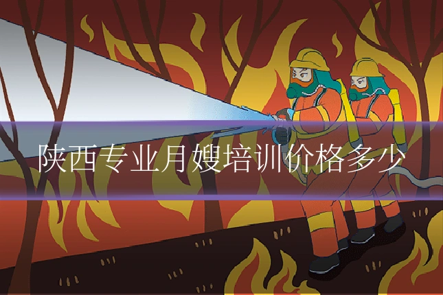 陕西专业月嫂培训价格多少