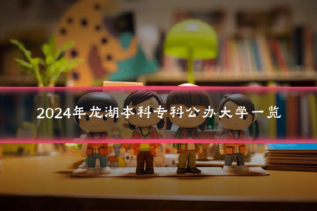 2024年龙湖本科专科公办大学一览