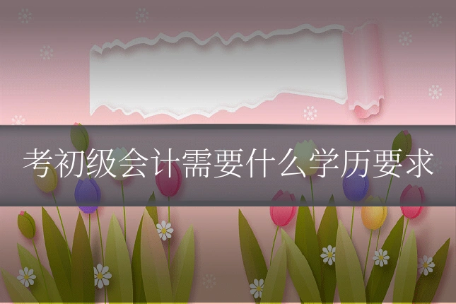 考初级会计需要什么学历要求