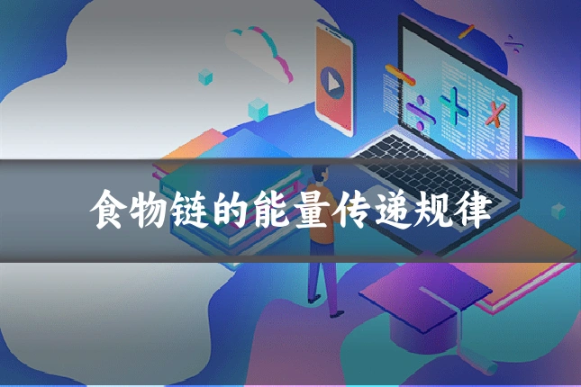 食物链的能量传递规律