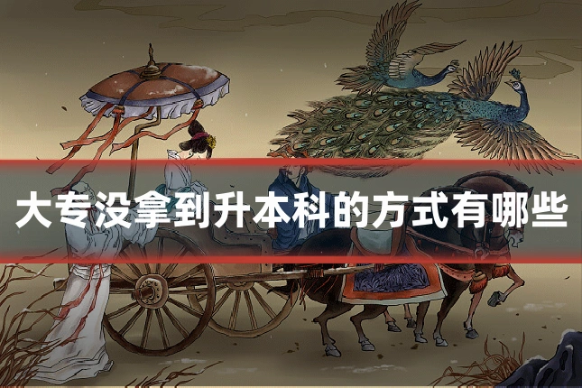 大专没拿到升本科的方式有哪些