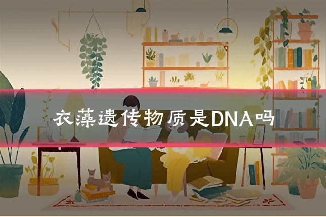 衣藻遗传物质是DNA吗