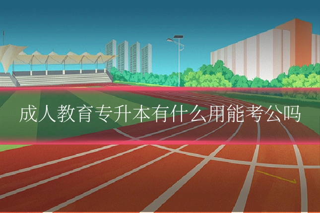 成人教育专升本有什么用能考公吗