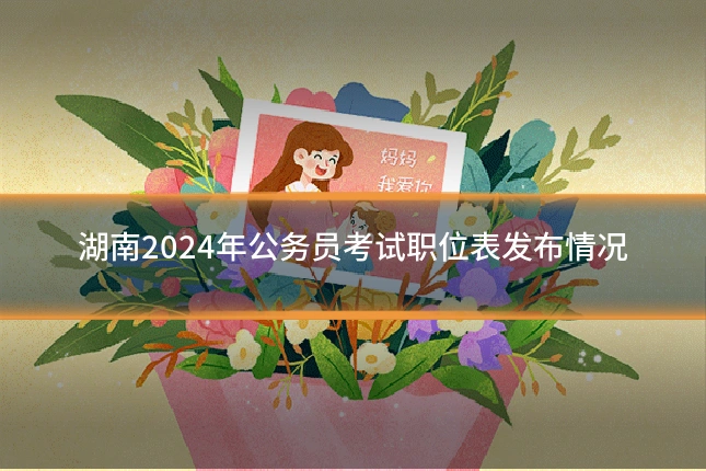 湖南2024年公务员考试职位表发布情况