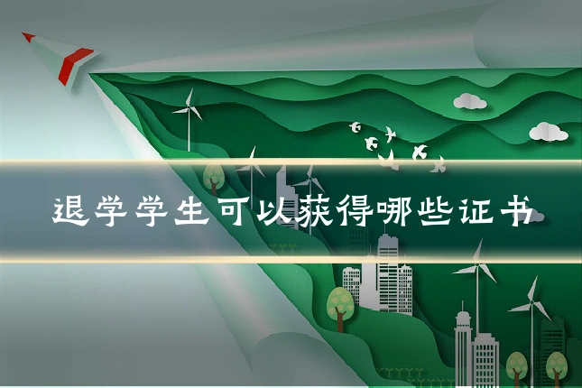 退学学生可以获得哪些证书