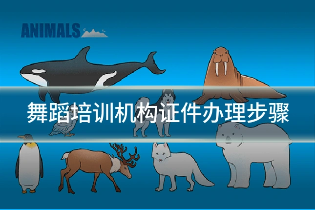 舞蹈培训机构证件办理步骤