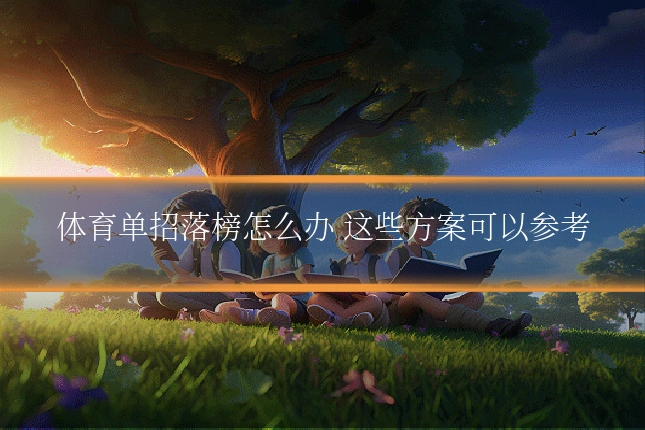 体育单招落榜怎么办 这些方案可以参考