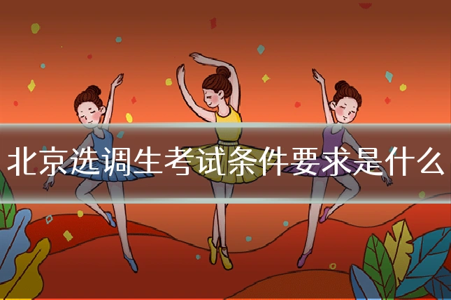 北京选调生考试条件要求是什么