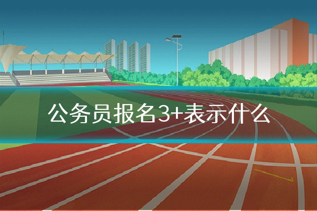 公务员报名3+表示什么