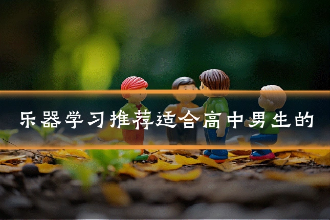乐器学习推荐适合高中男生的