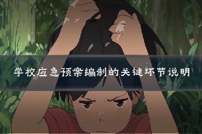 学校应急预案编制的关键环节说明