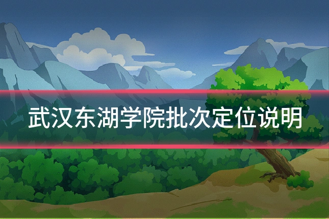 武汉东湖学院批次定位说明