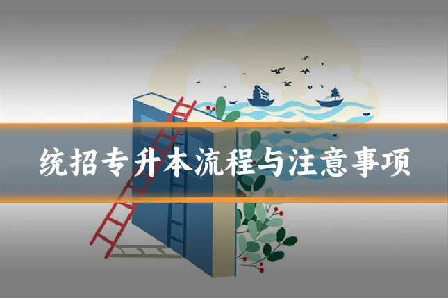 统招专升本流程与注意事项