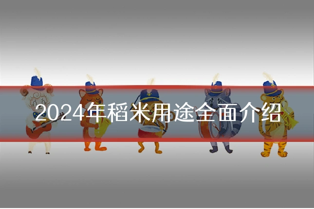 2024年稻米用途全面介绍
