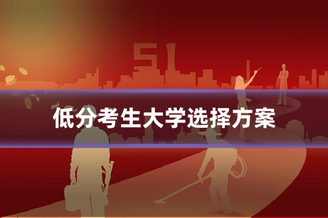 低分考生大学选择方案