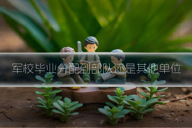 军校毕业分配到部队还是其他单位