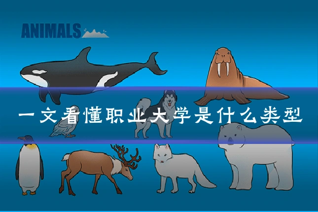一文看懂职业大学是什么类型