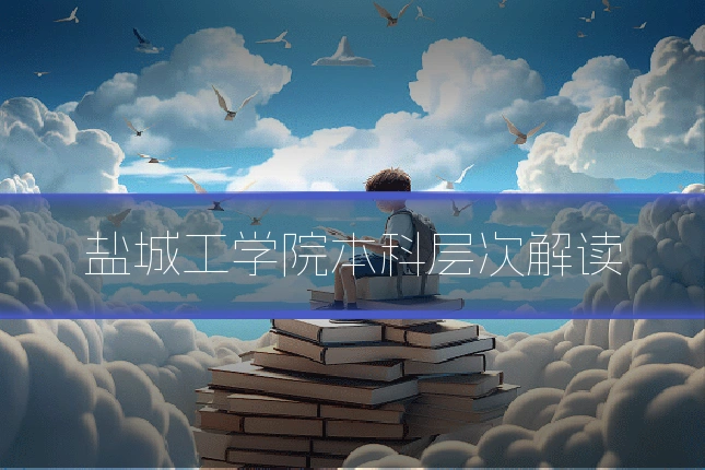 盐城工学院本科层次解读